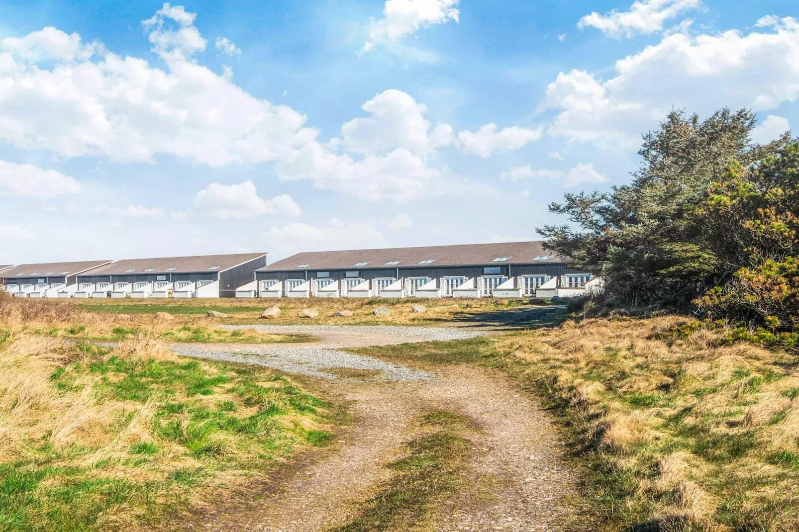 Maison de vacances pour 6 a Vestervig-By Traum-Extérieur