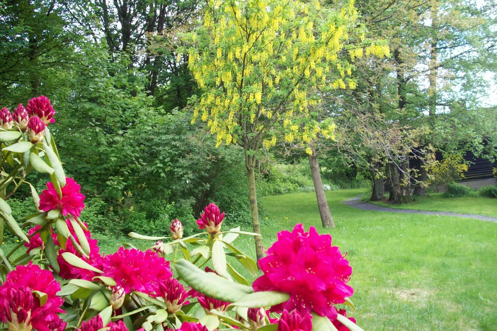 Les Muguets-Jardin d'été