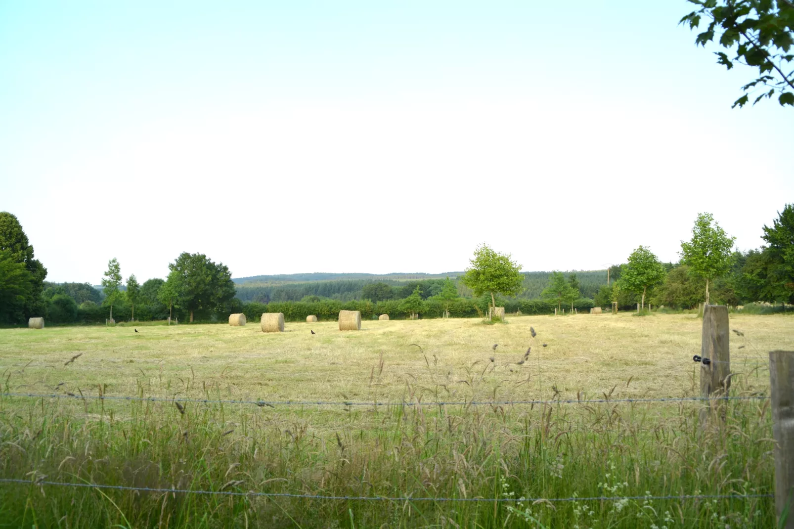 Li Saboti-Aussicht Sommer
