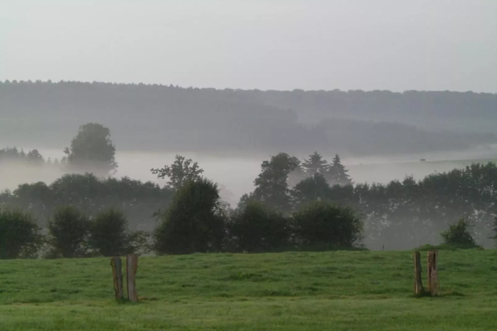 Petit Paliseul-Areas summer 20km