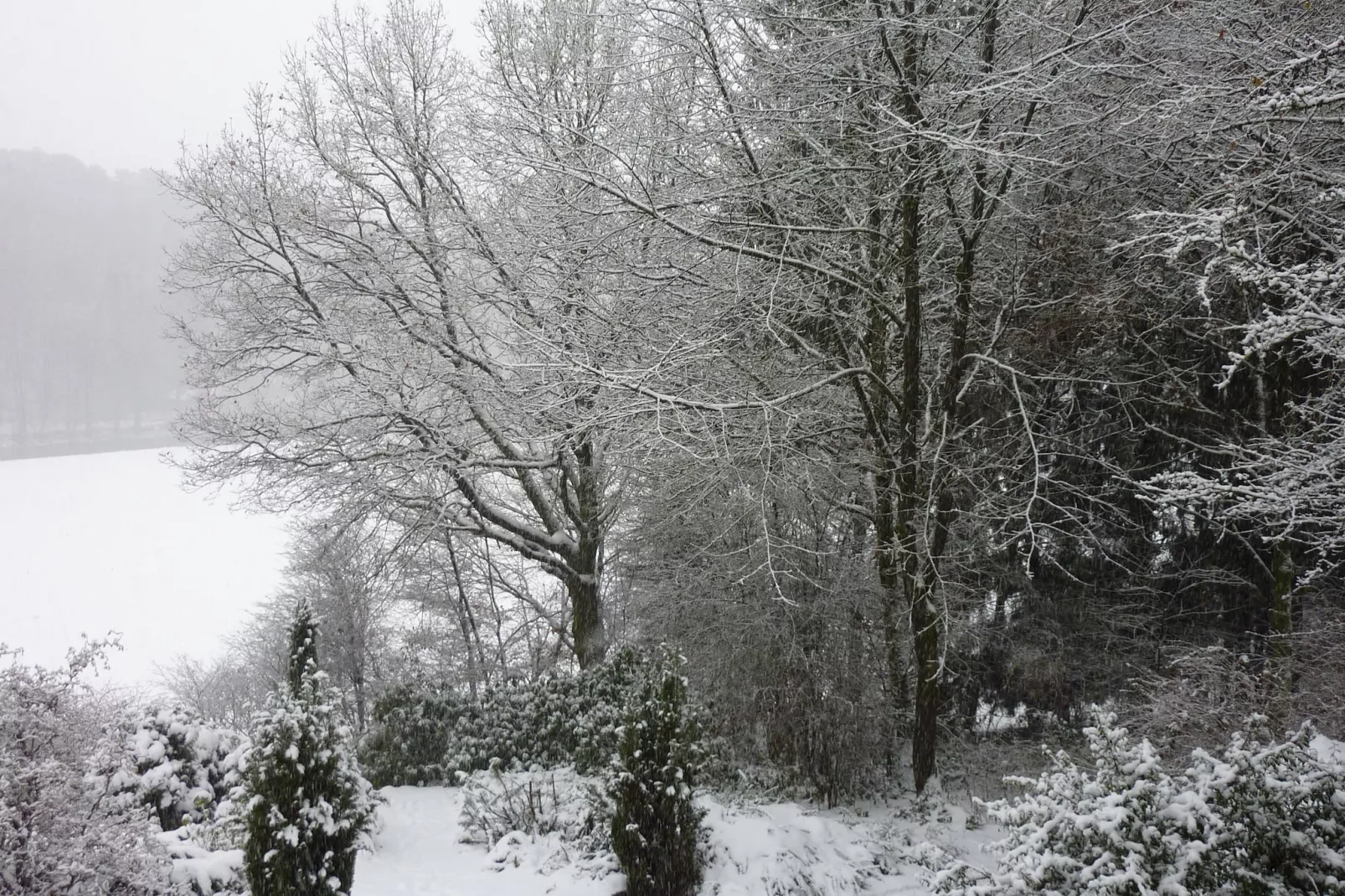 Domaine De L'Ecureuil 3-Garden winter