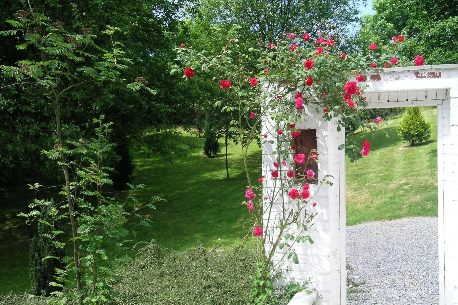 Trou de Reinard- Domaine Ecureuil-Gärten Sommer