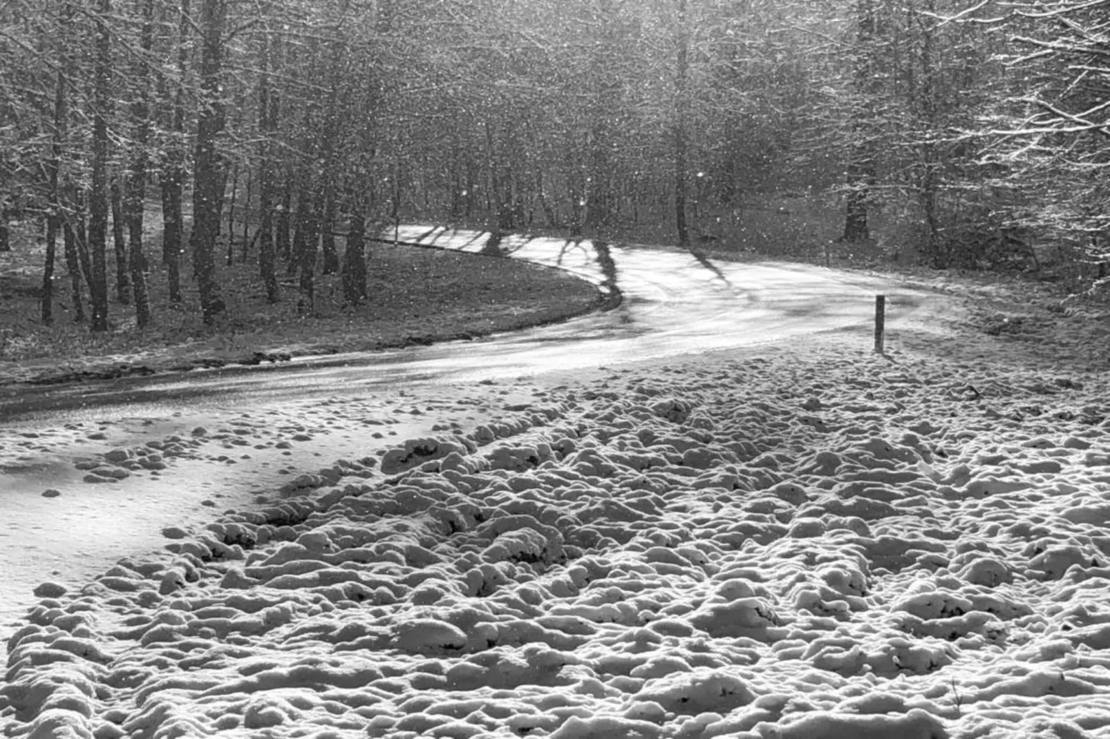 Lesternid-Gebiete Sommer 20 km