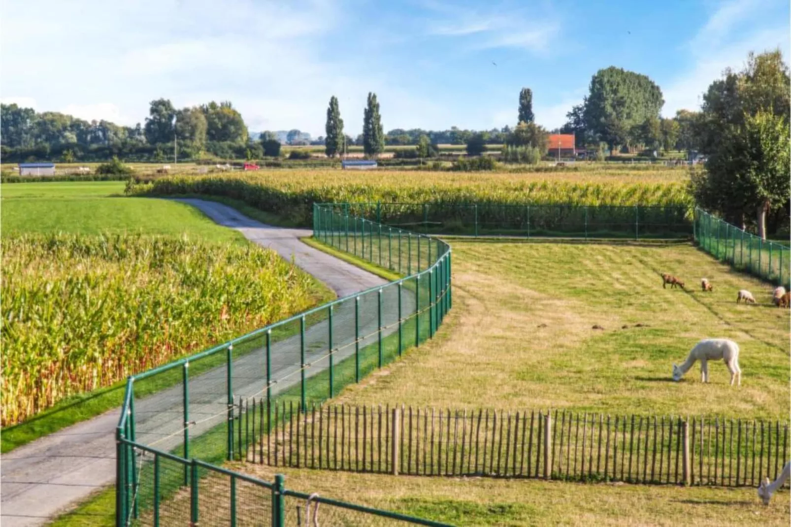 St Antoine-Gebiete Sommer 20 km