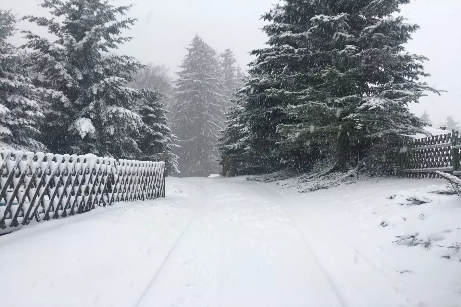 Antonio-Garten Winter