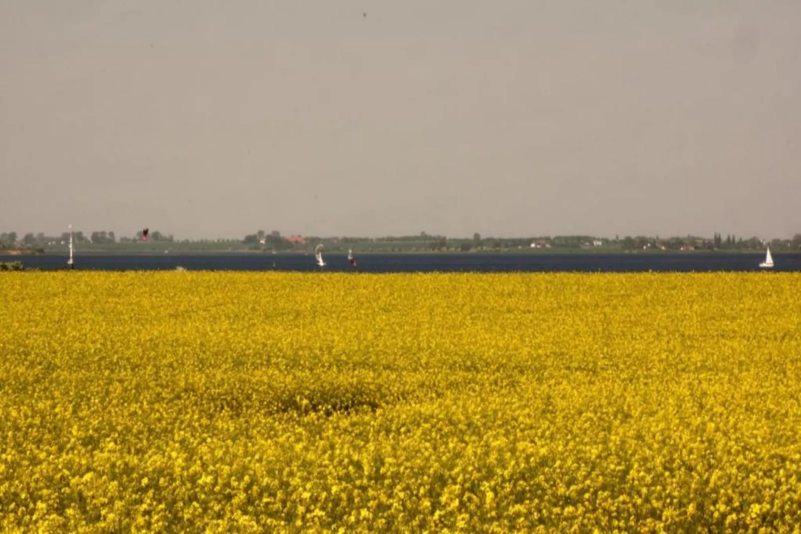 Bernsteinring Z1A-Gebiete Sommer 20 km