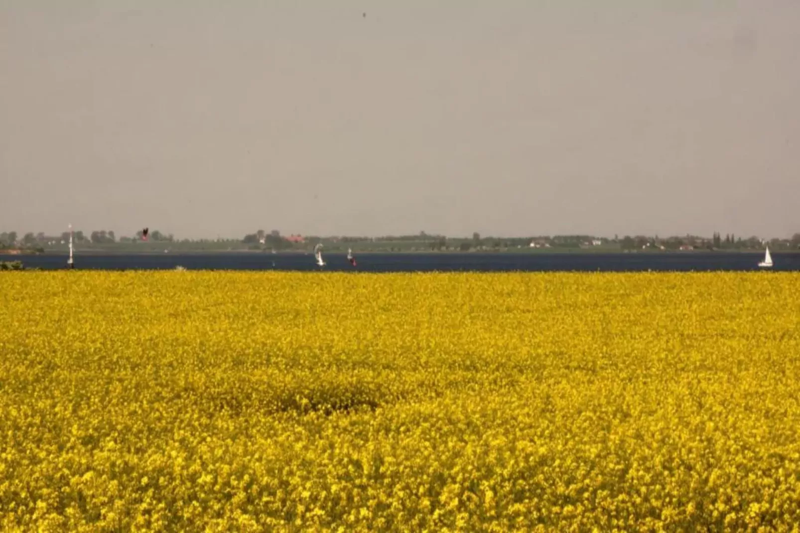 Zierow Z2A-Areas summer 20km