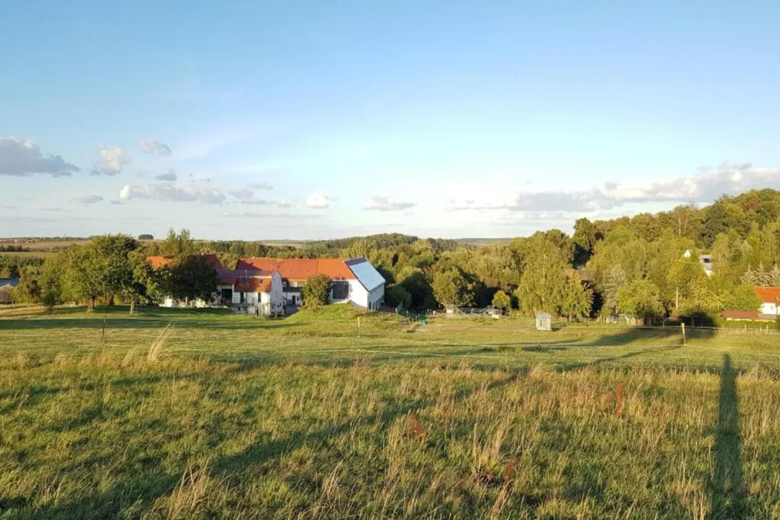 Ferienhaus Rechenberg Bienemuhle-Areas summer 20km