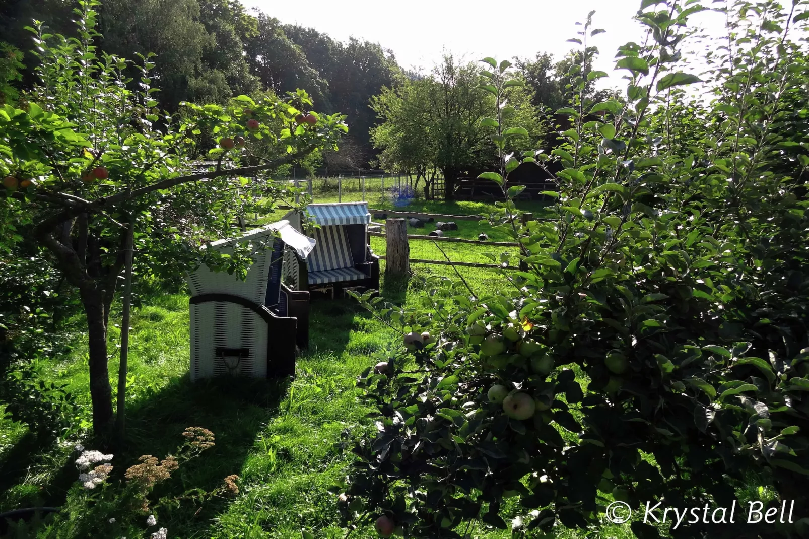 Im Kellerwald-Gärten Sommer