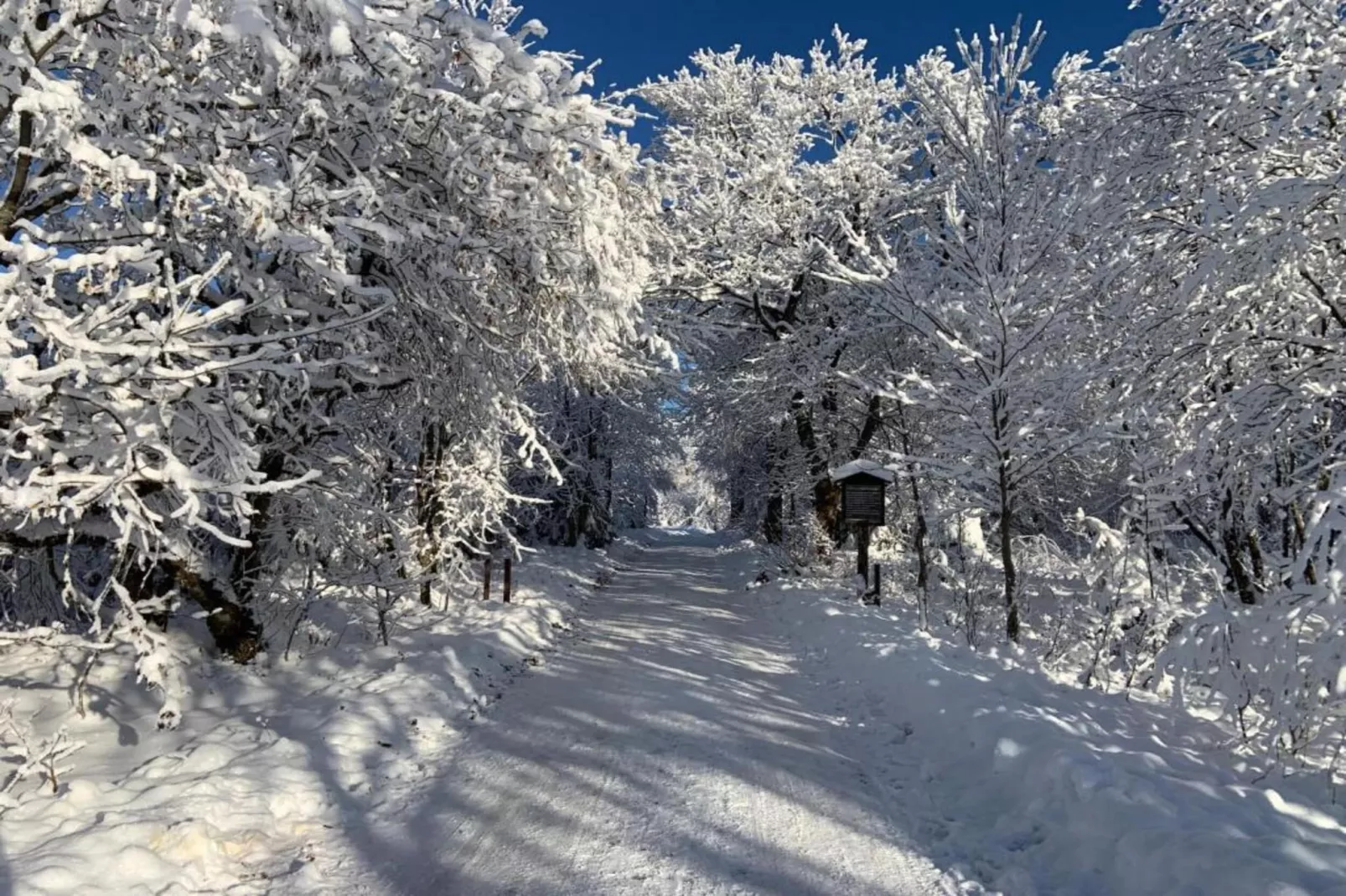 Bergfreunde-Area winter 20km