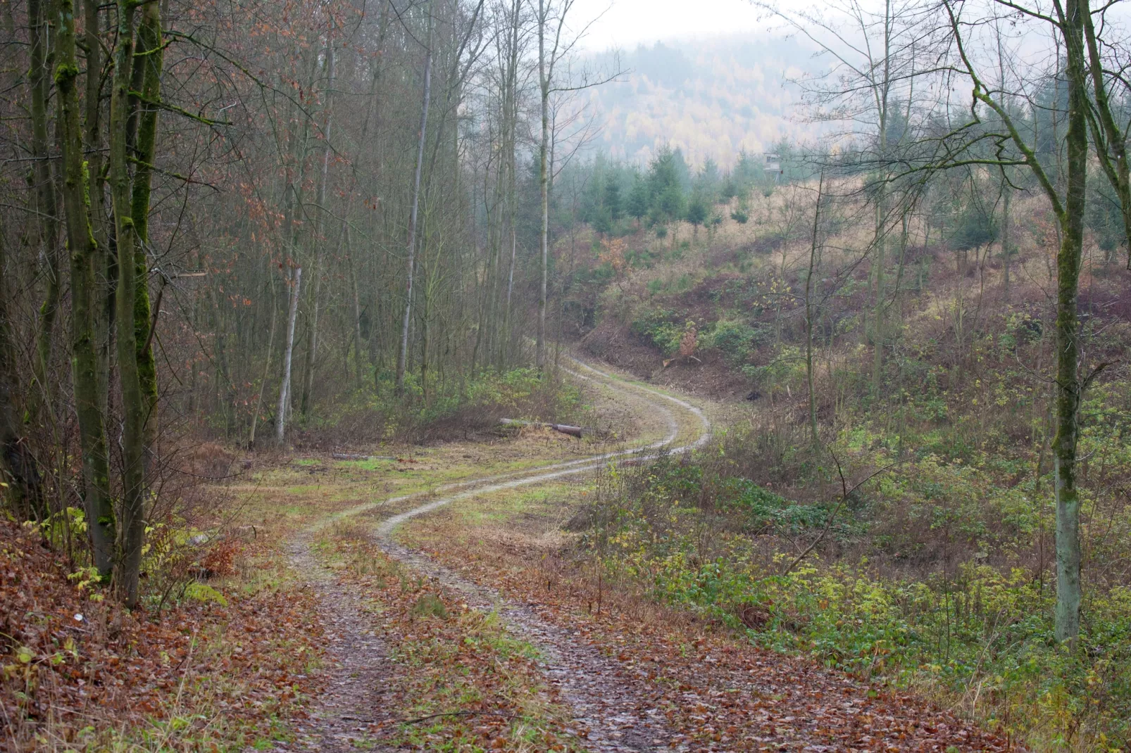 Edda-Gebiete Sommer 5 km