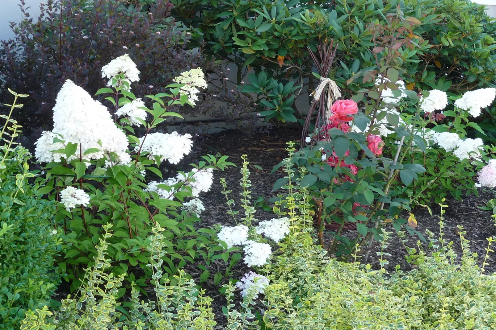 Haus Helga-Gardens summer
