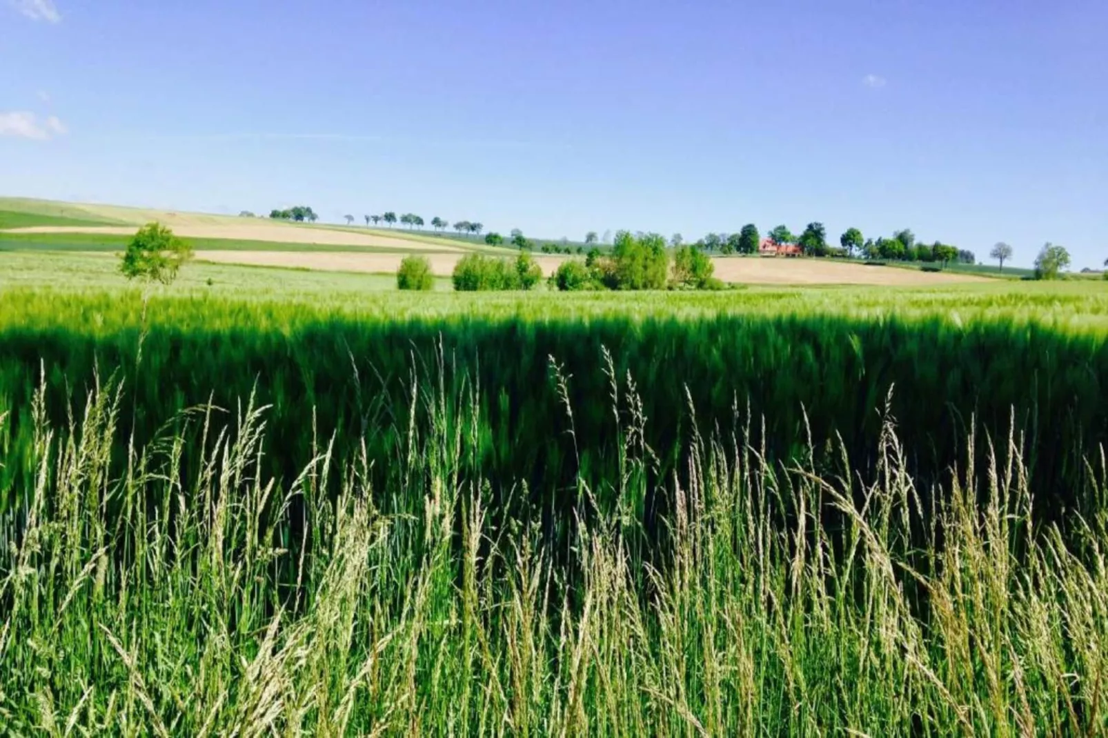 Blessberg-Gebiete Sommer 20 km