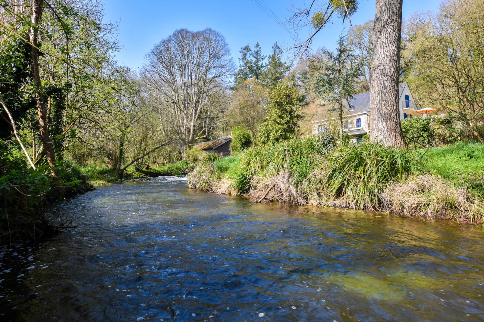 Moulin Bescond-Gardens summer