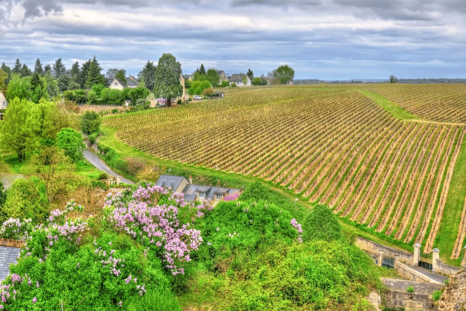 Le Clos Saint Michel 3-Areas summer 20km