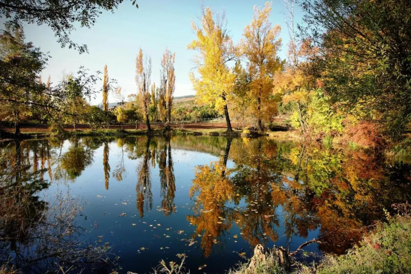 Apartman Milas 1and2 - Areas within 20km in summer