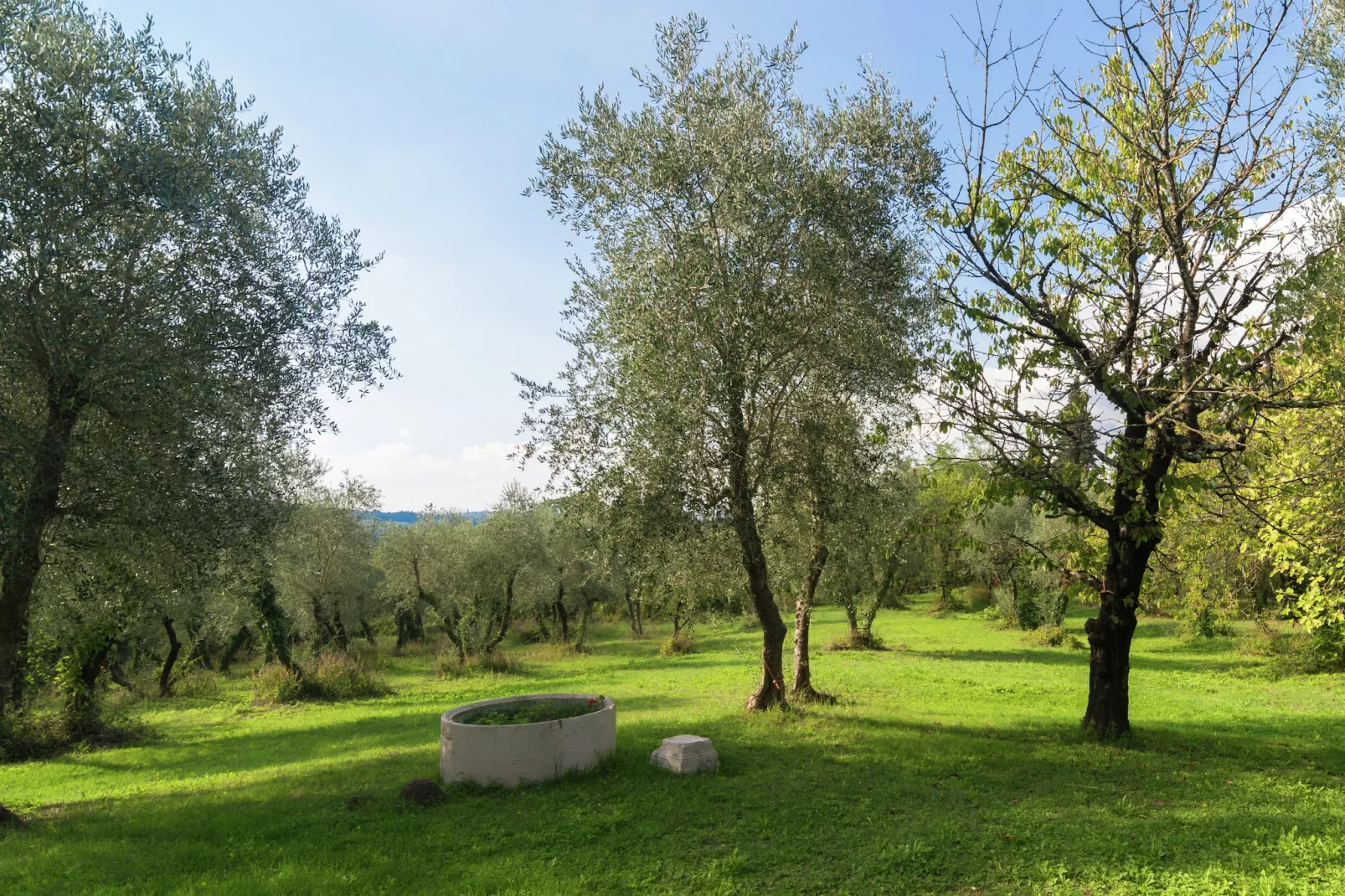 Casa Prati-Gardens summer