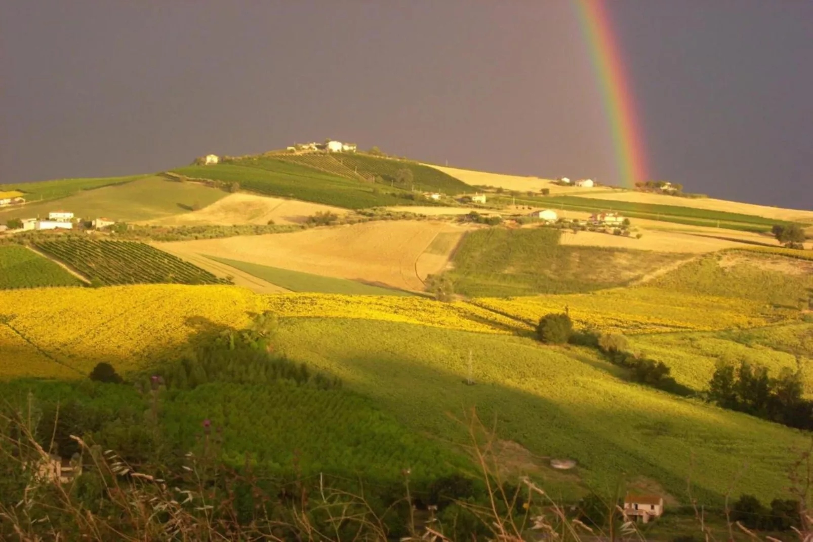 Casale le Querce-Areas summer 20km