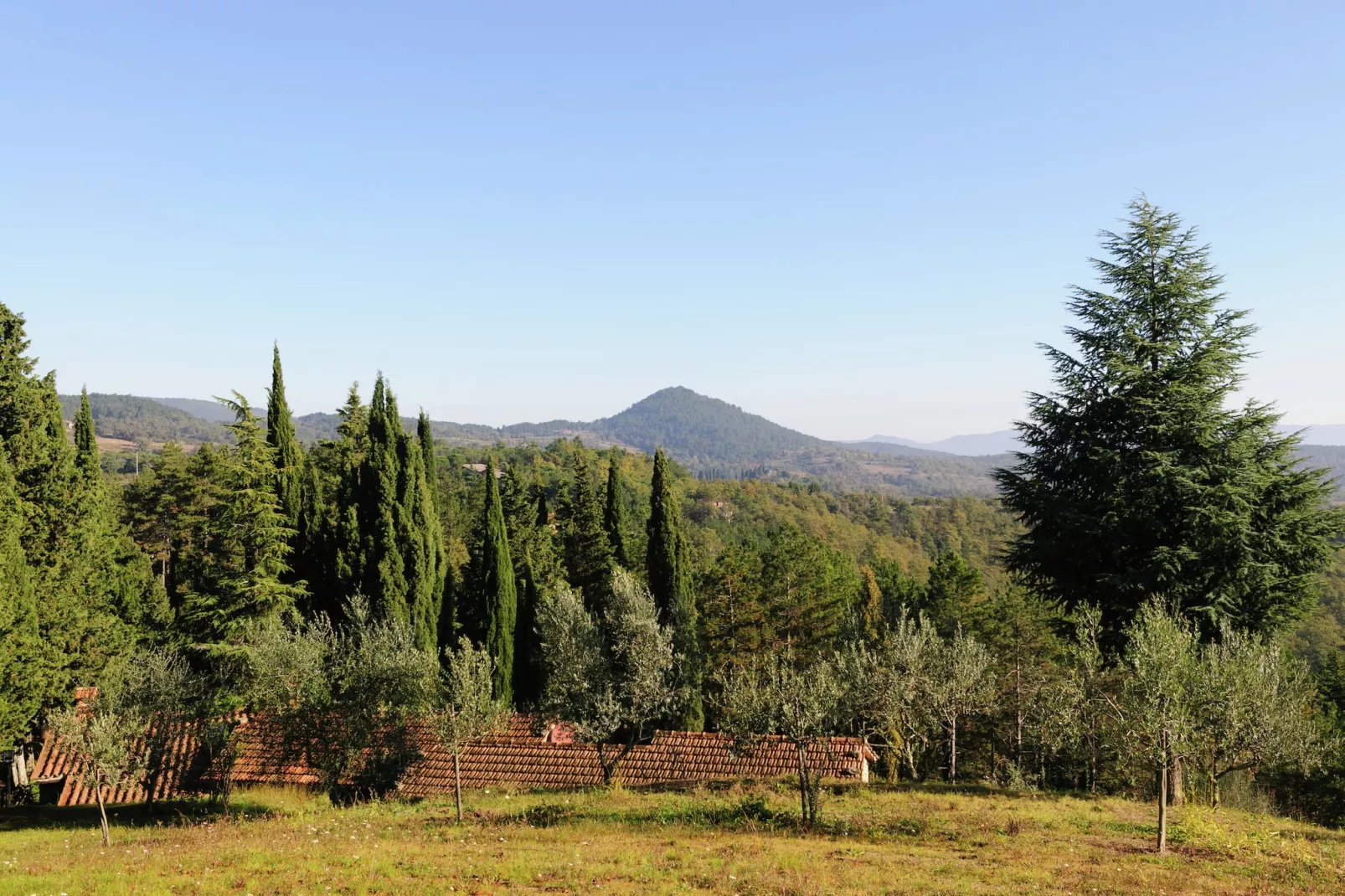 Casa Stefania-View summer