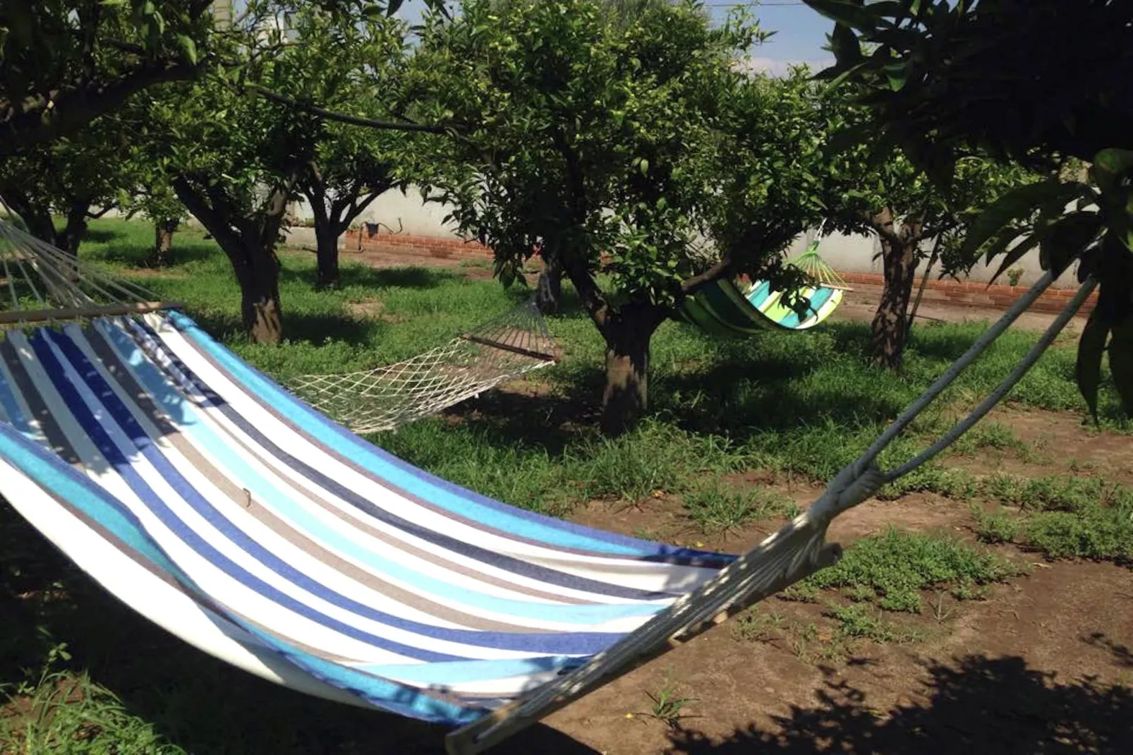 Casale tra gli Agrumi-Gardens summer