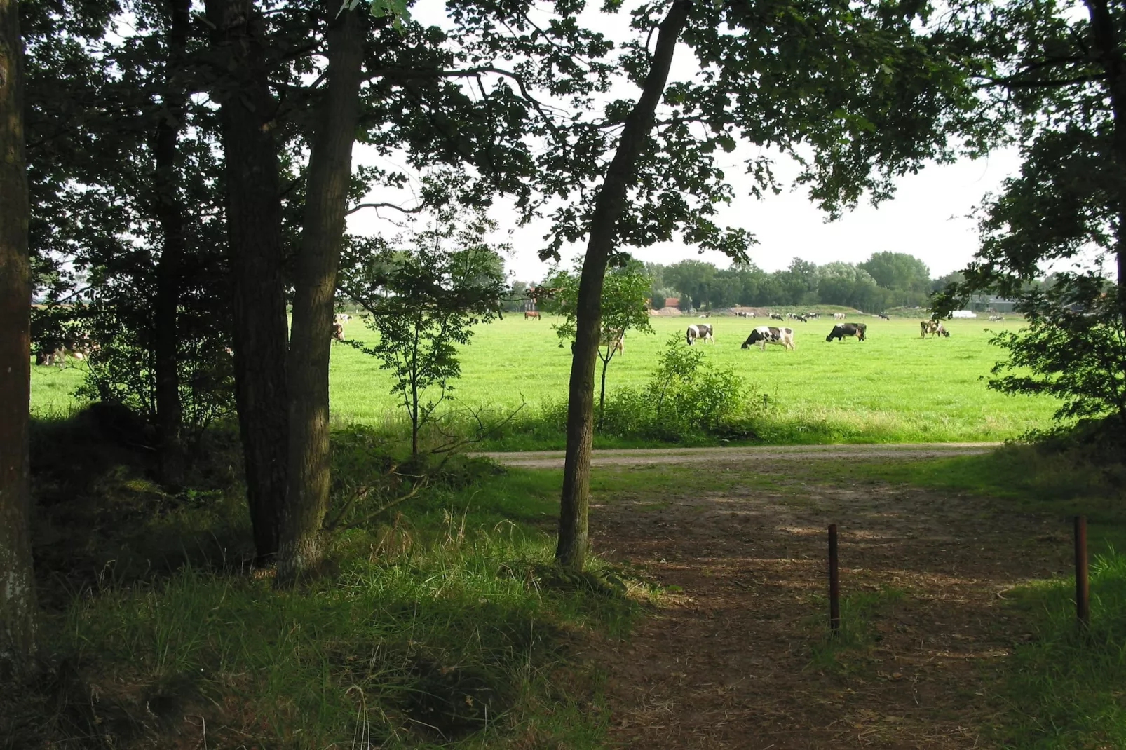 Vakantiepark Herperduin 16-Park facilities