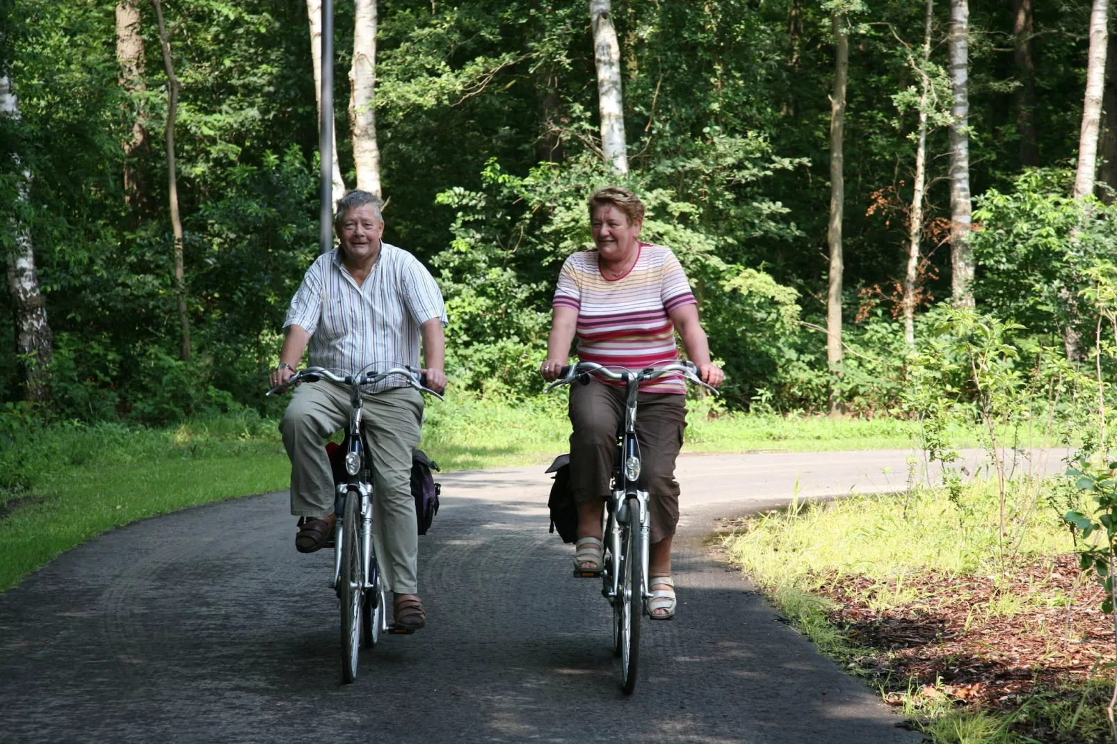 Marke van Ruinen 1-Areas summer 1km