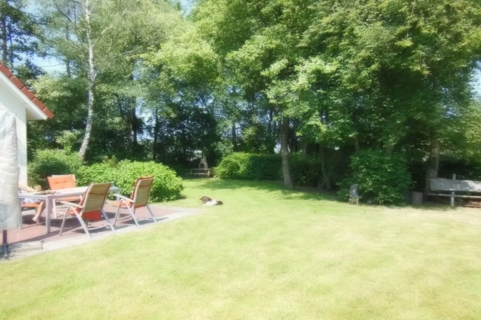 Zonnenberg 34-Gardens summer