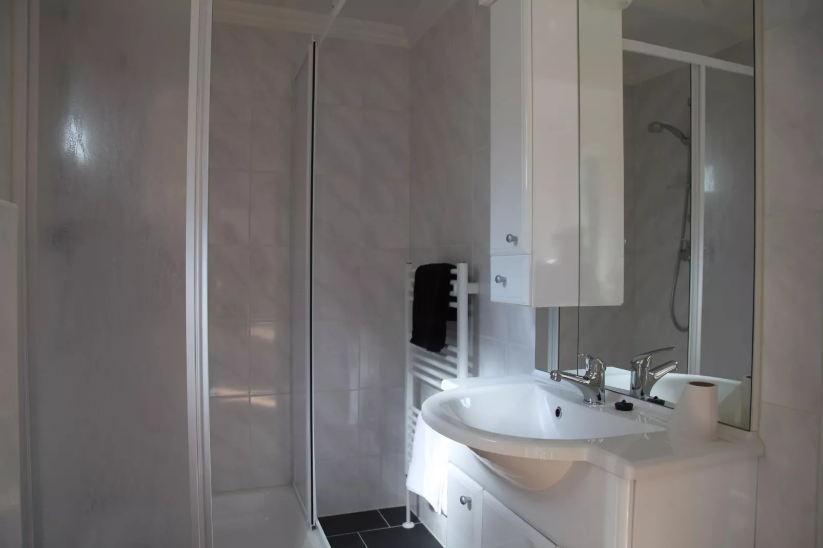 Landgoed Het Grote Zand 8-Bathroom