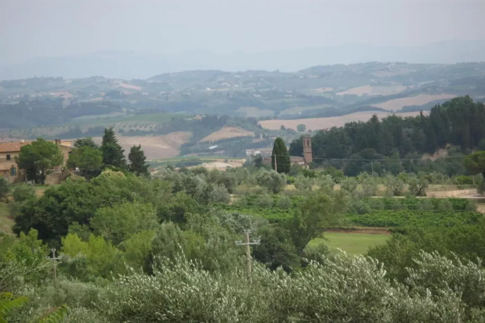 Cipresso-Areas within 20km in summer