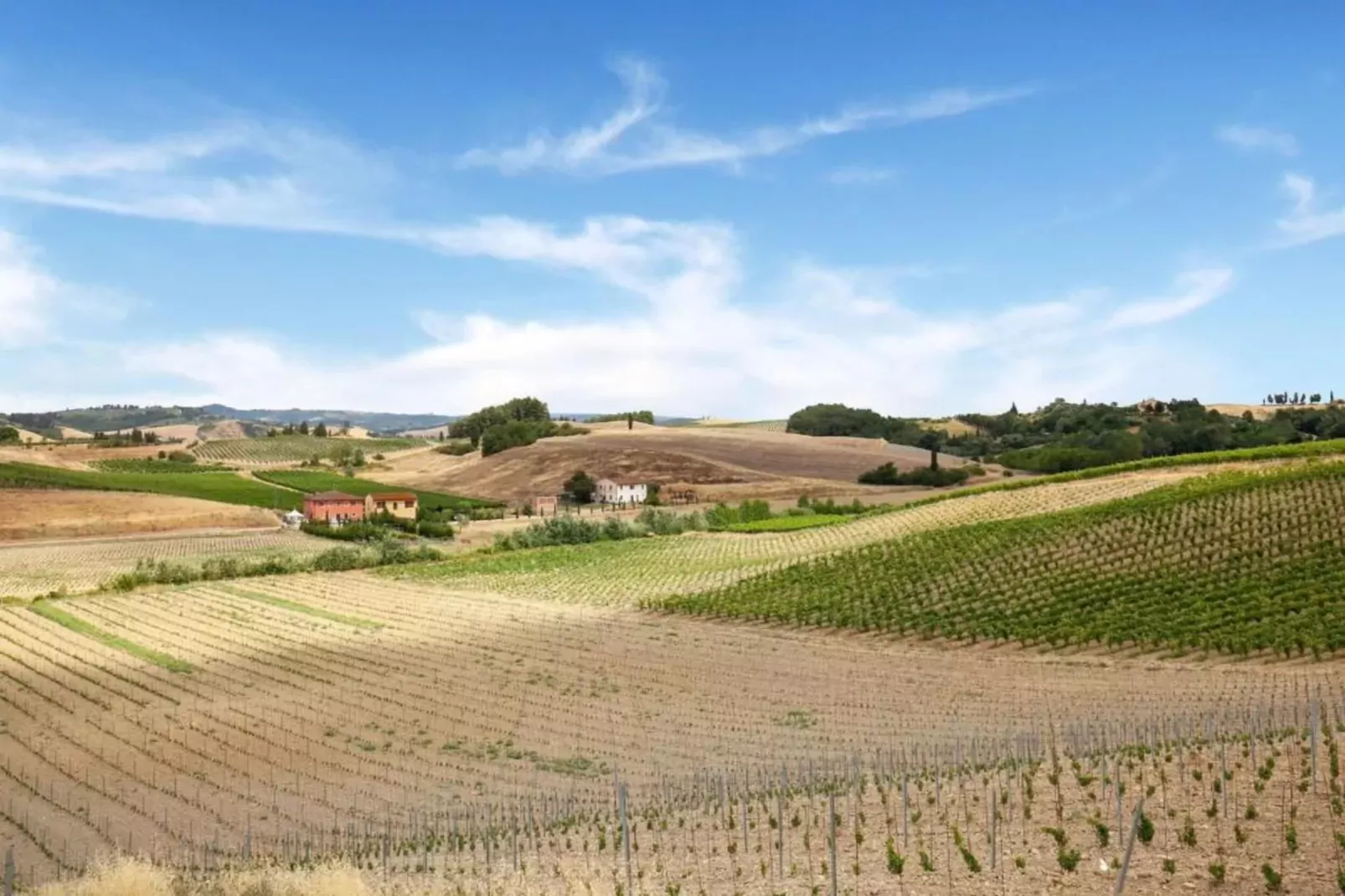 Biancospino-Areas within 20km in summer