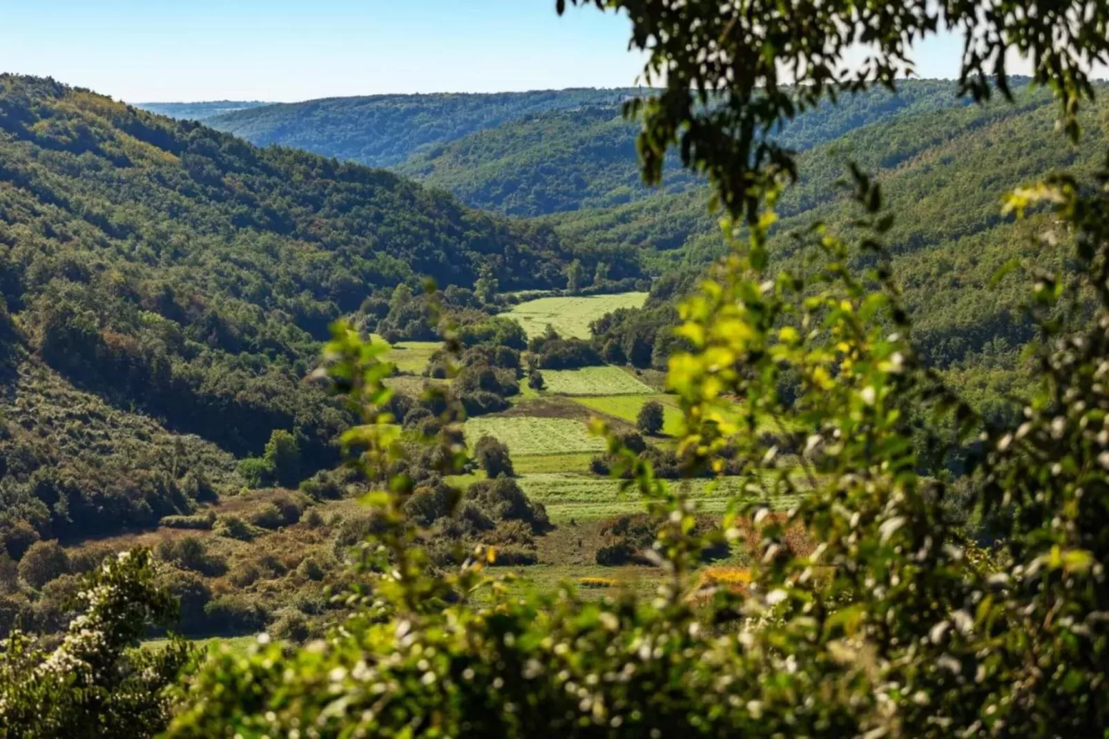 Villa Rosa-Areas within 20km in summer