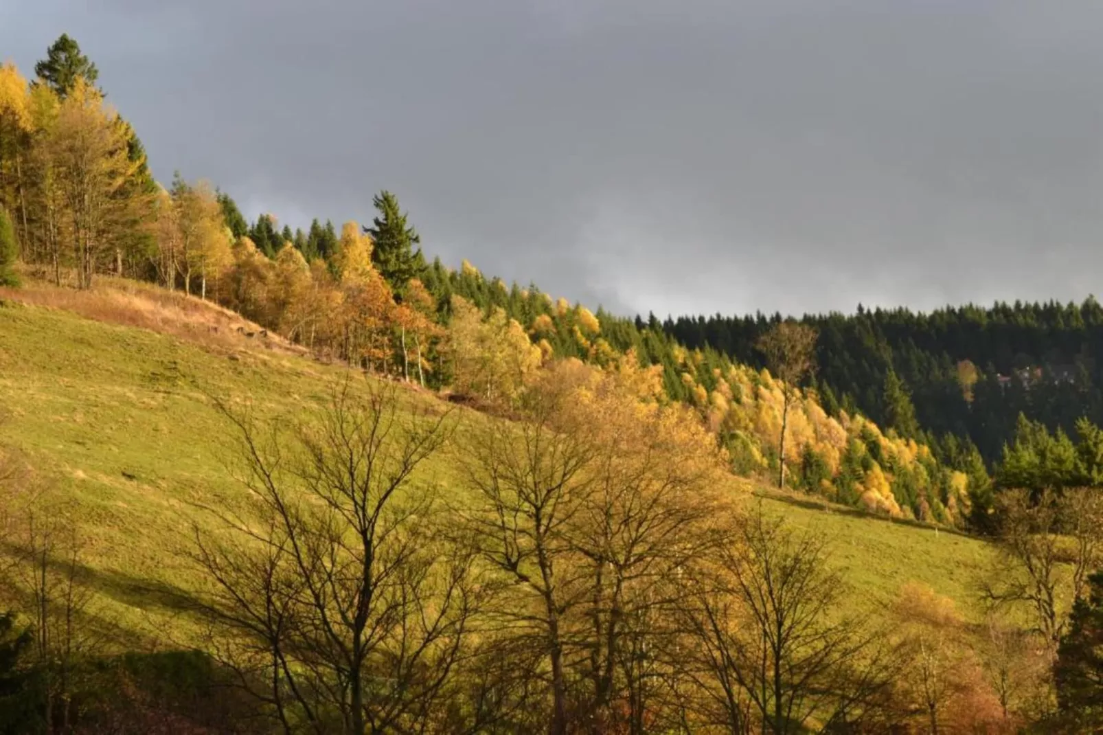 Ferienapartment Romatik in Wildemann Harz-Areas summer 20km