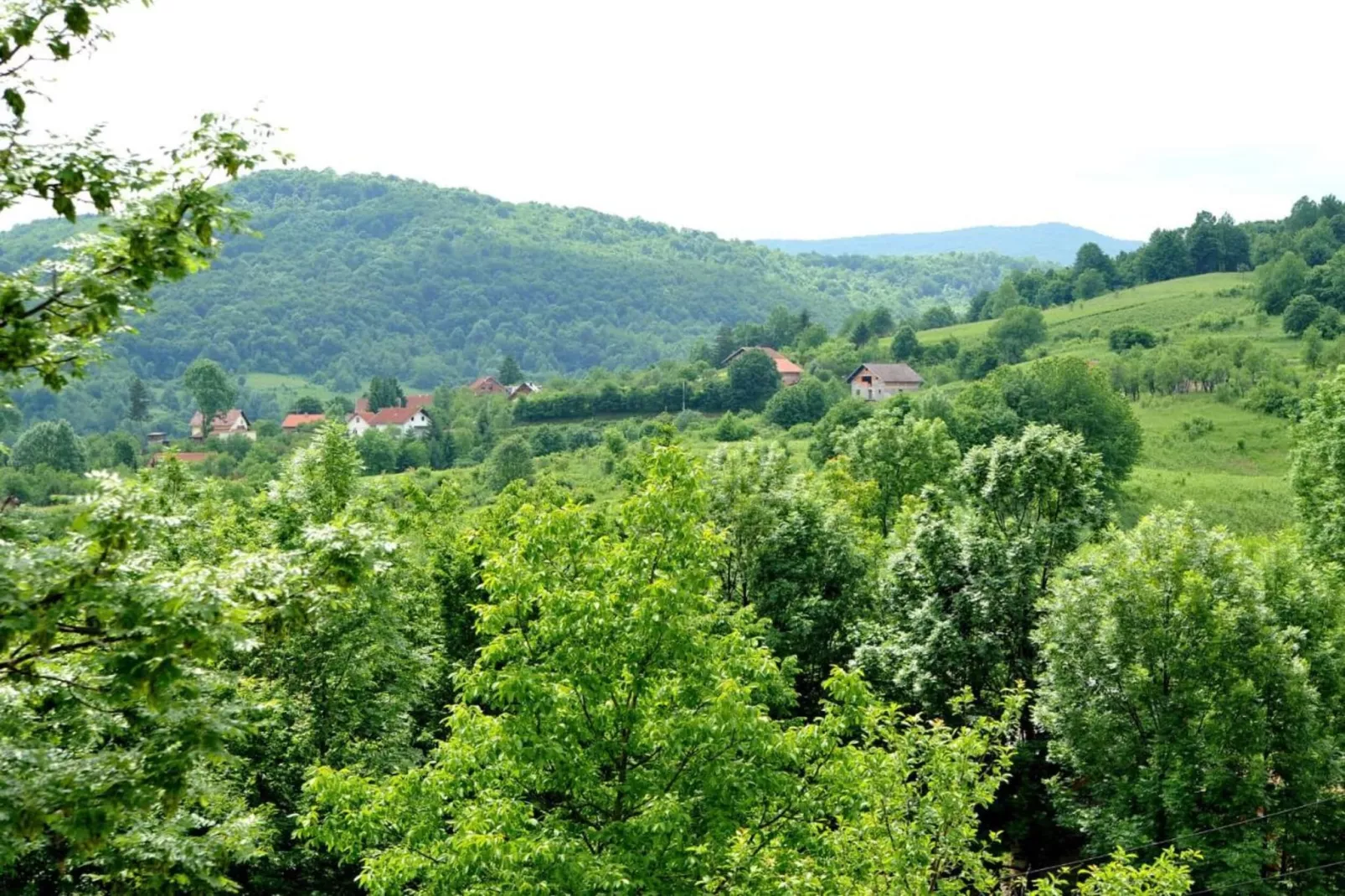 Apartment Jelena 2-Gebiete Sommer 20 km