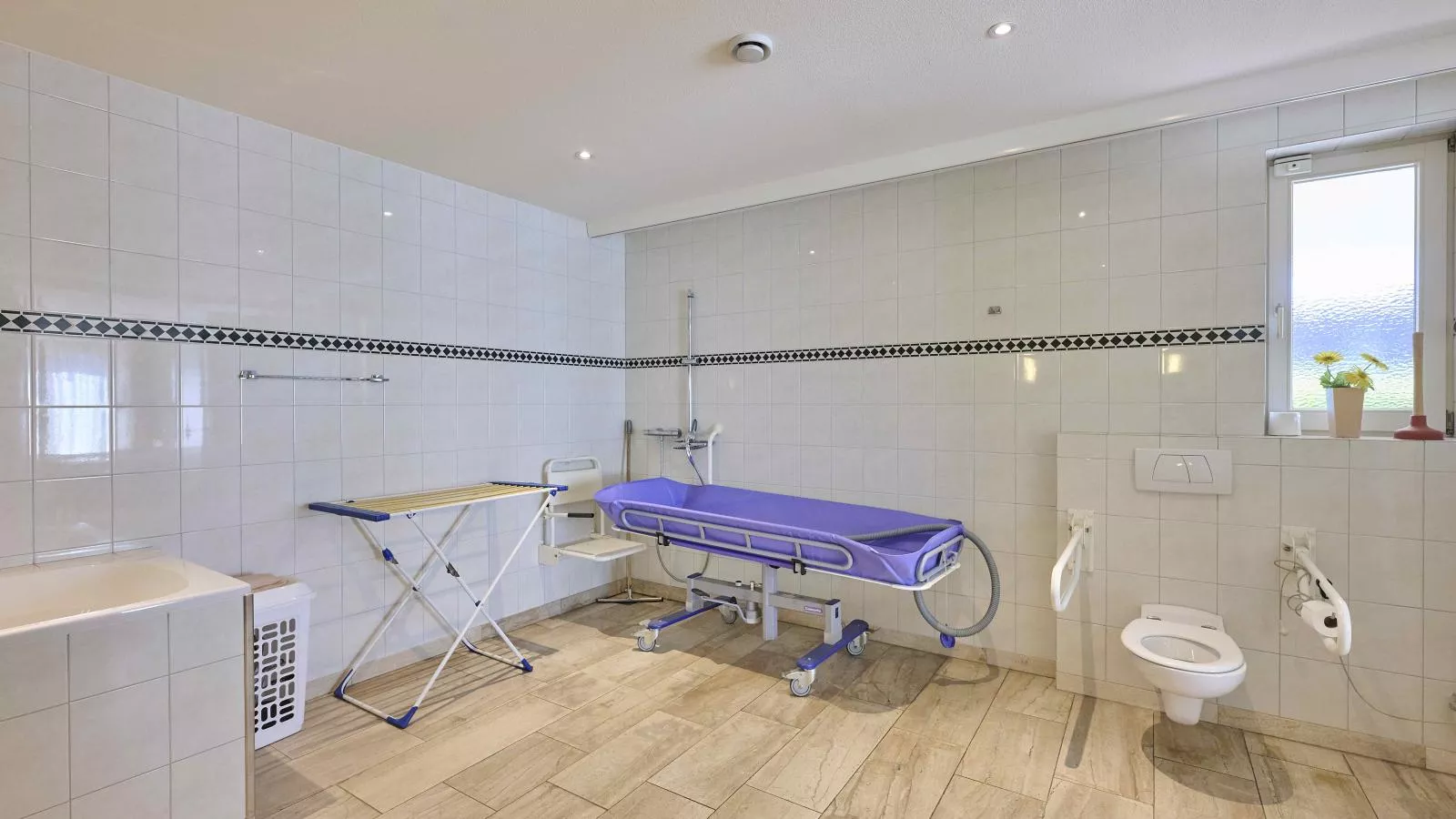 Lionshuis-Facilities