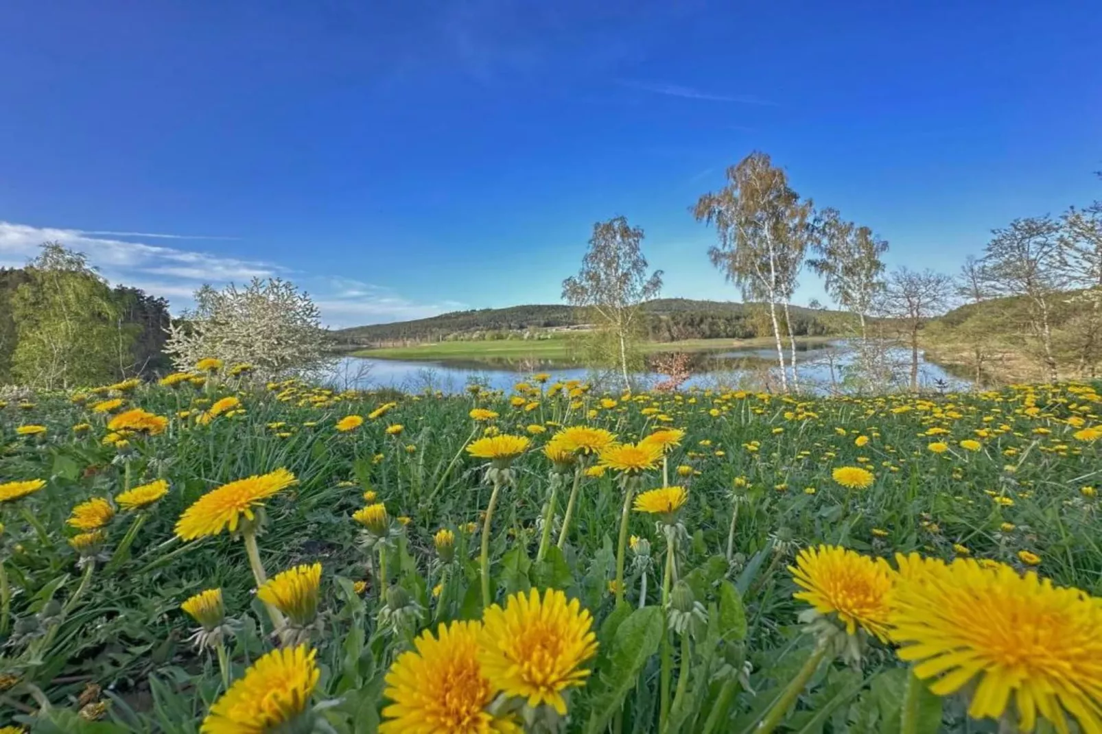 FERIENDORF SEEBLICK - Tiny Chalet am Eixendorfer See-Areas summer 20km