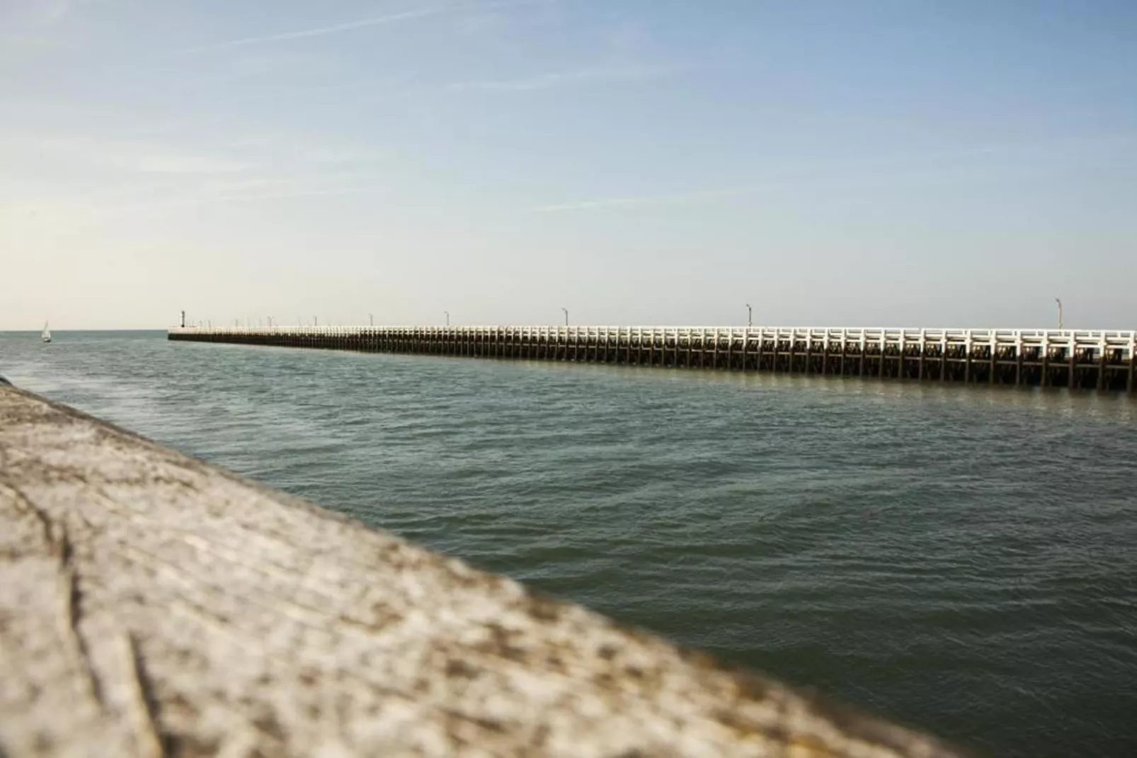 WSP7-Gebiete Sommer 20 km