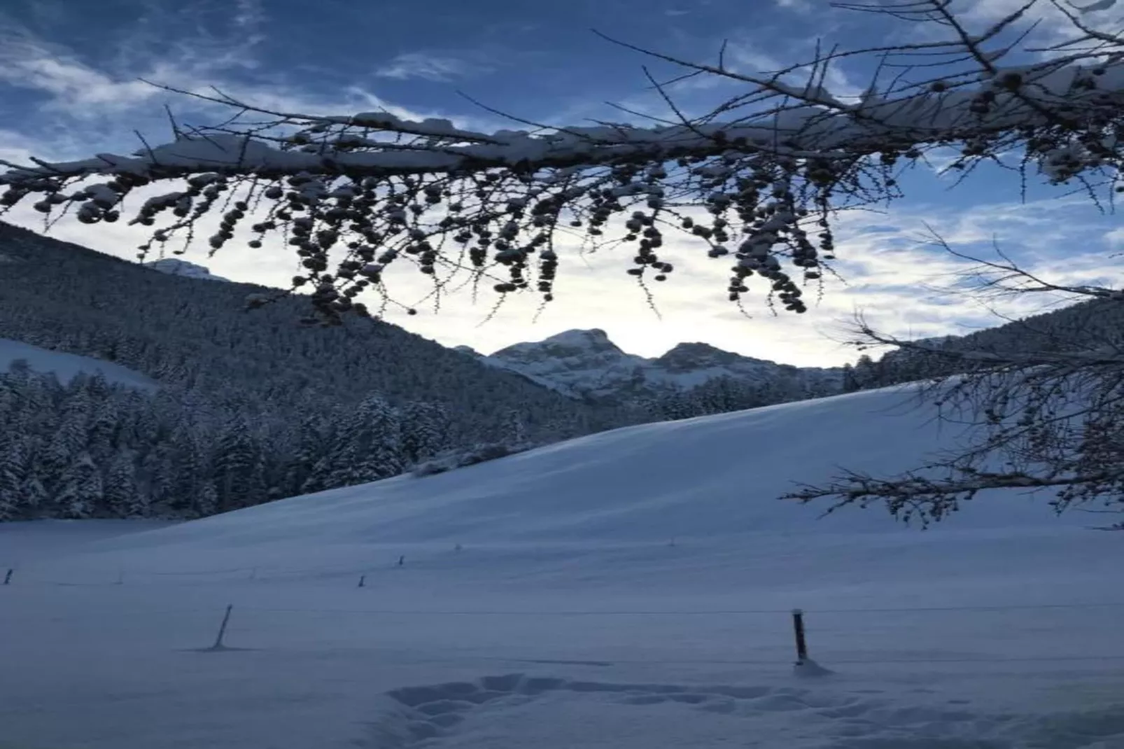 Beautiful Modern Chalet in the Gstaad Region-Gebiet Winter 5 km