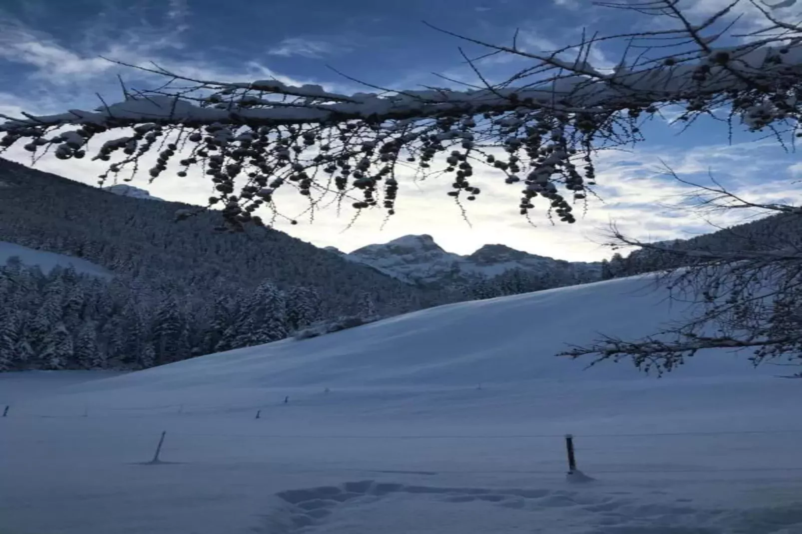 Divine Gstaad Chalet In Pure Elegance-Gebiet Winter 20 km