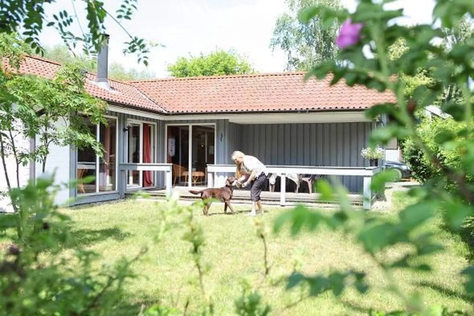 Reiher 24-Gardens summer