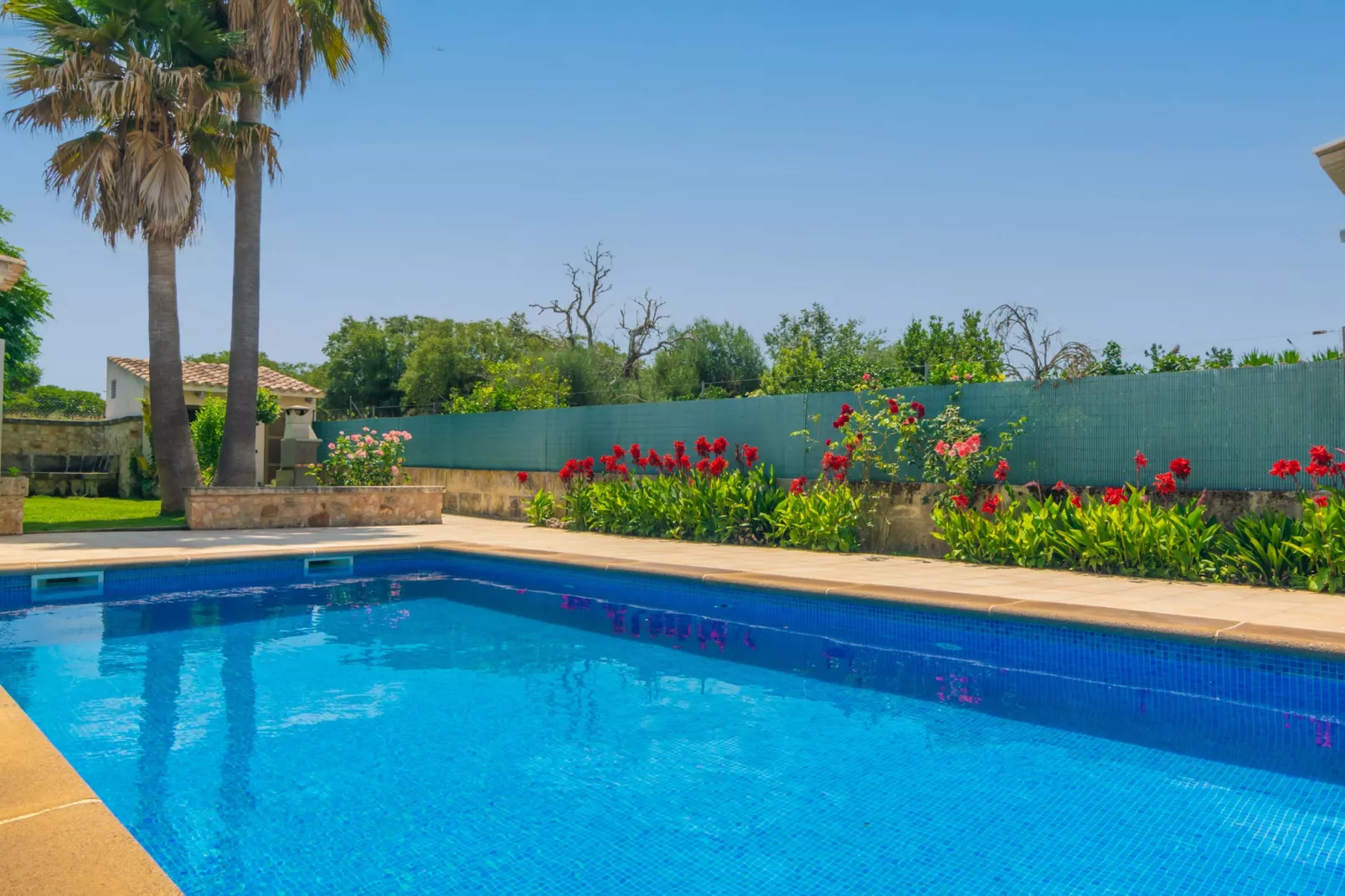 Es Desaigua-Pool