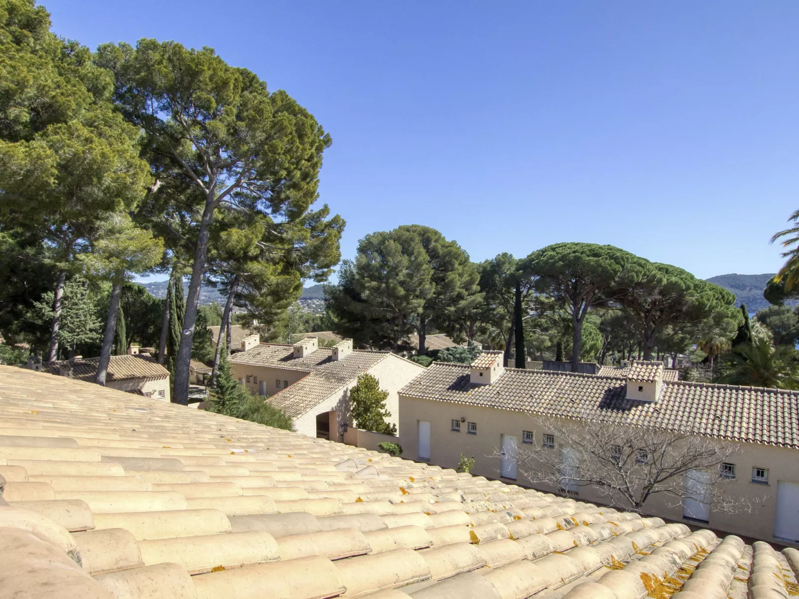 Jardins de la mer-Dehors