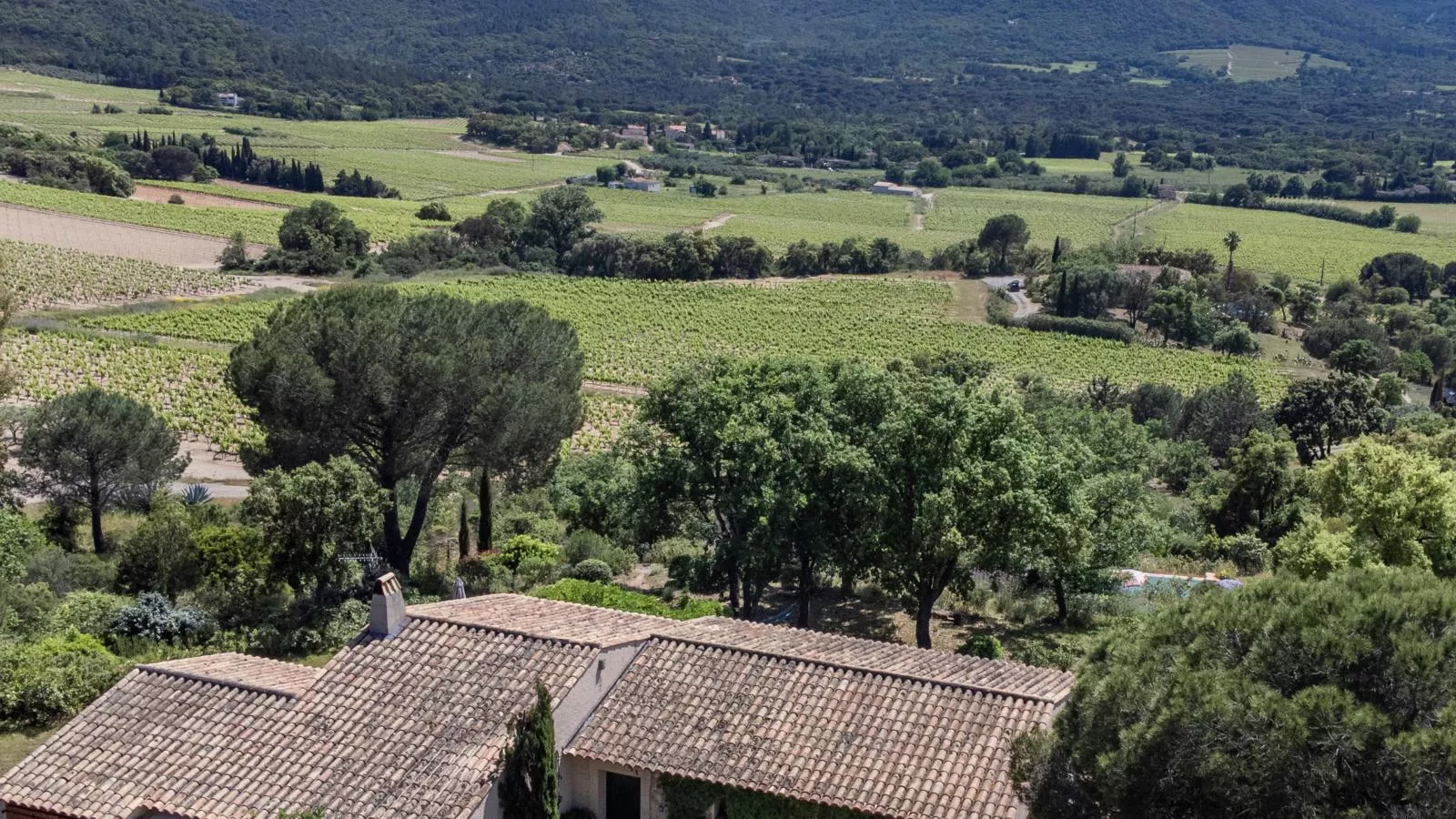 Entre les vignes-Areas summer 1km