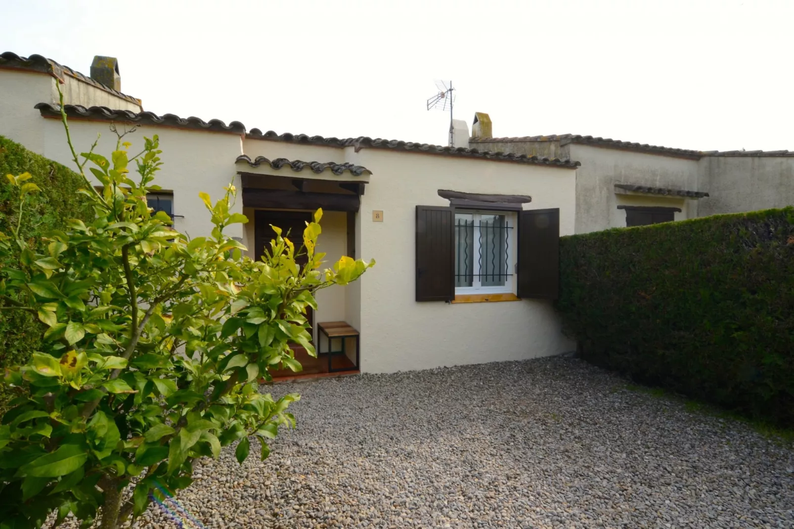 LES PALMERES  8-Exterior summer