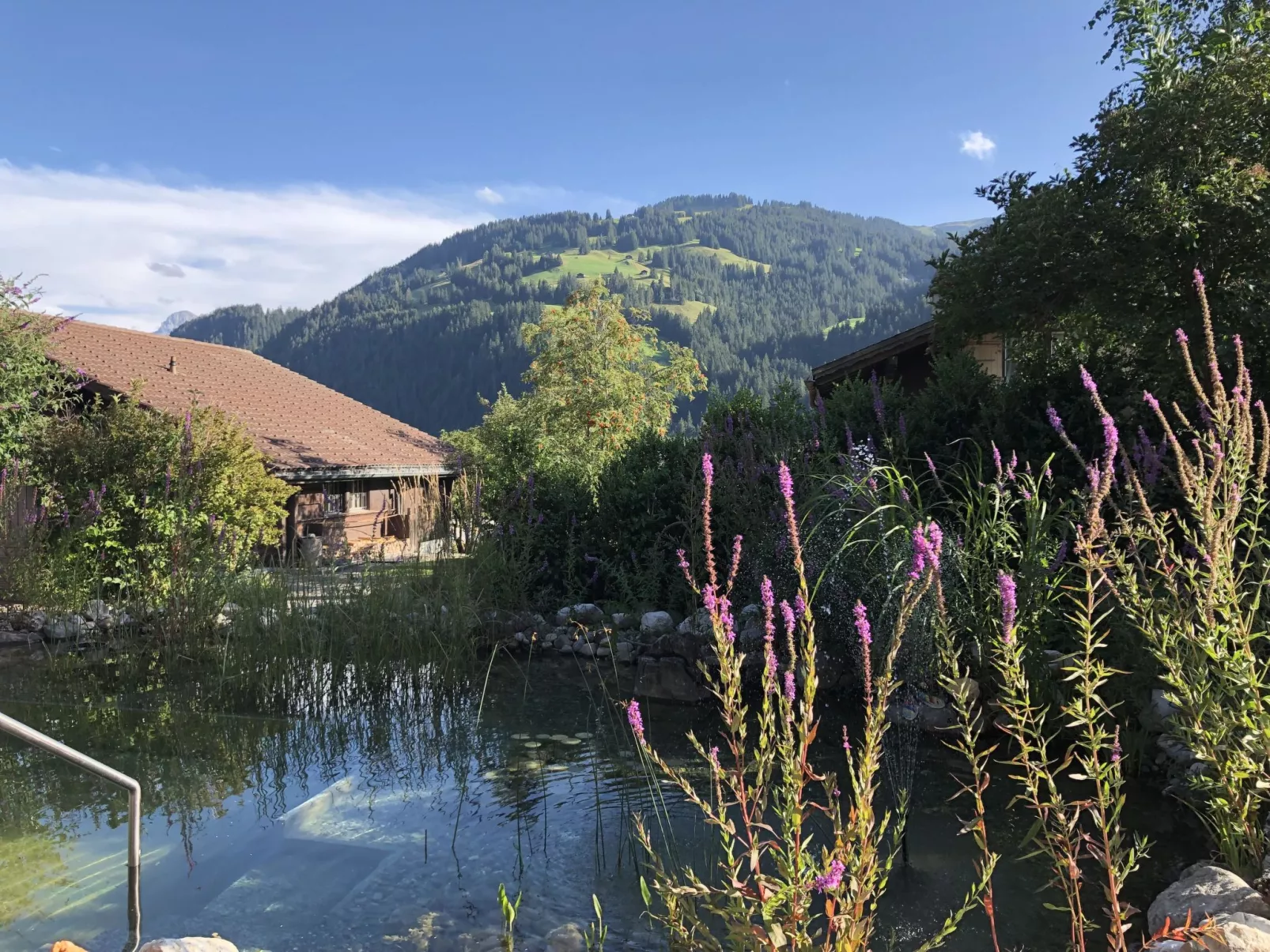 Strubeli-Draußen