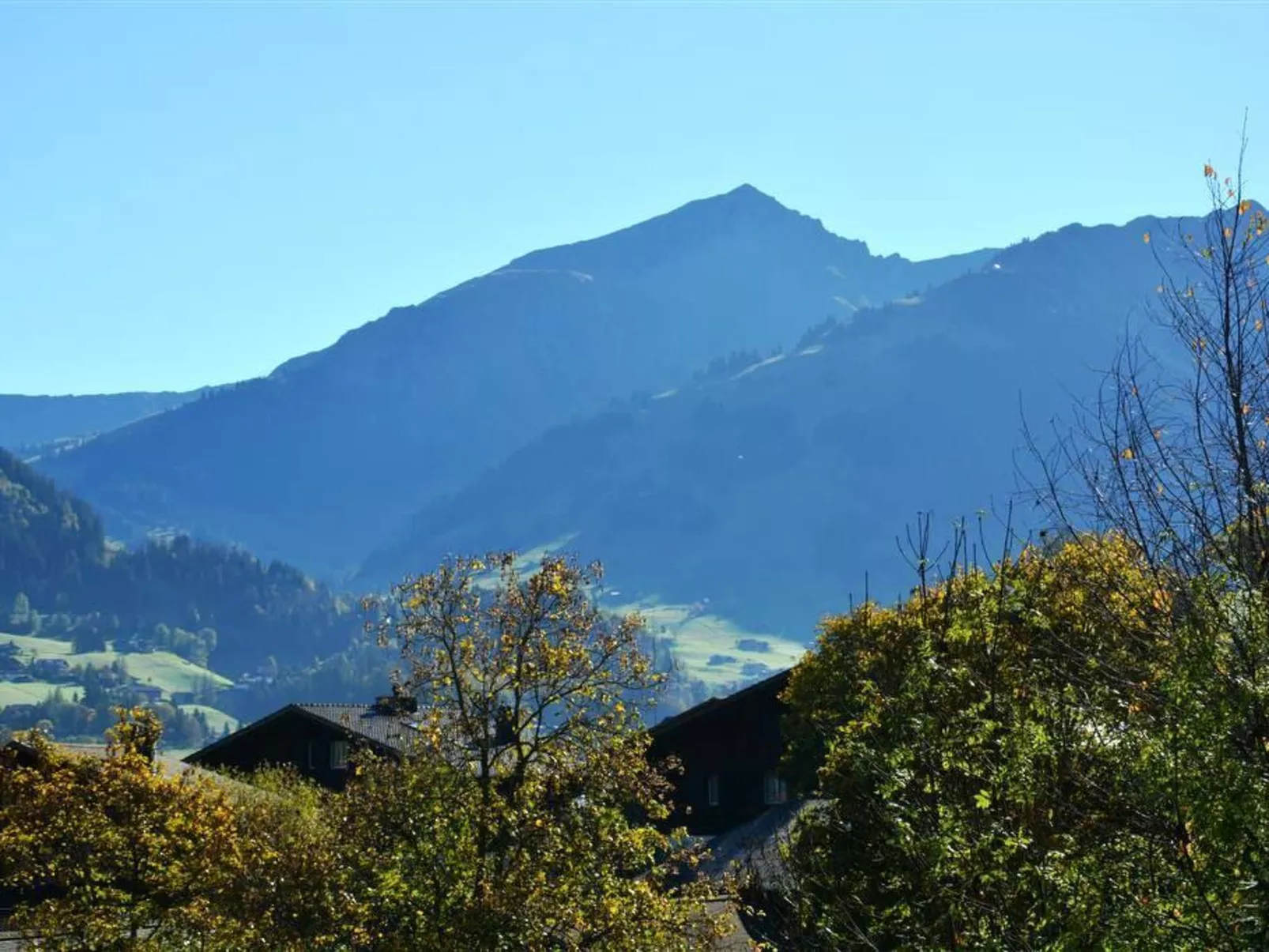 Hornflue (Baumann)-Draußen