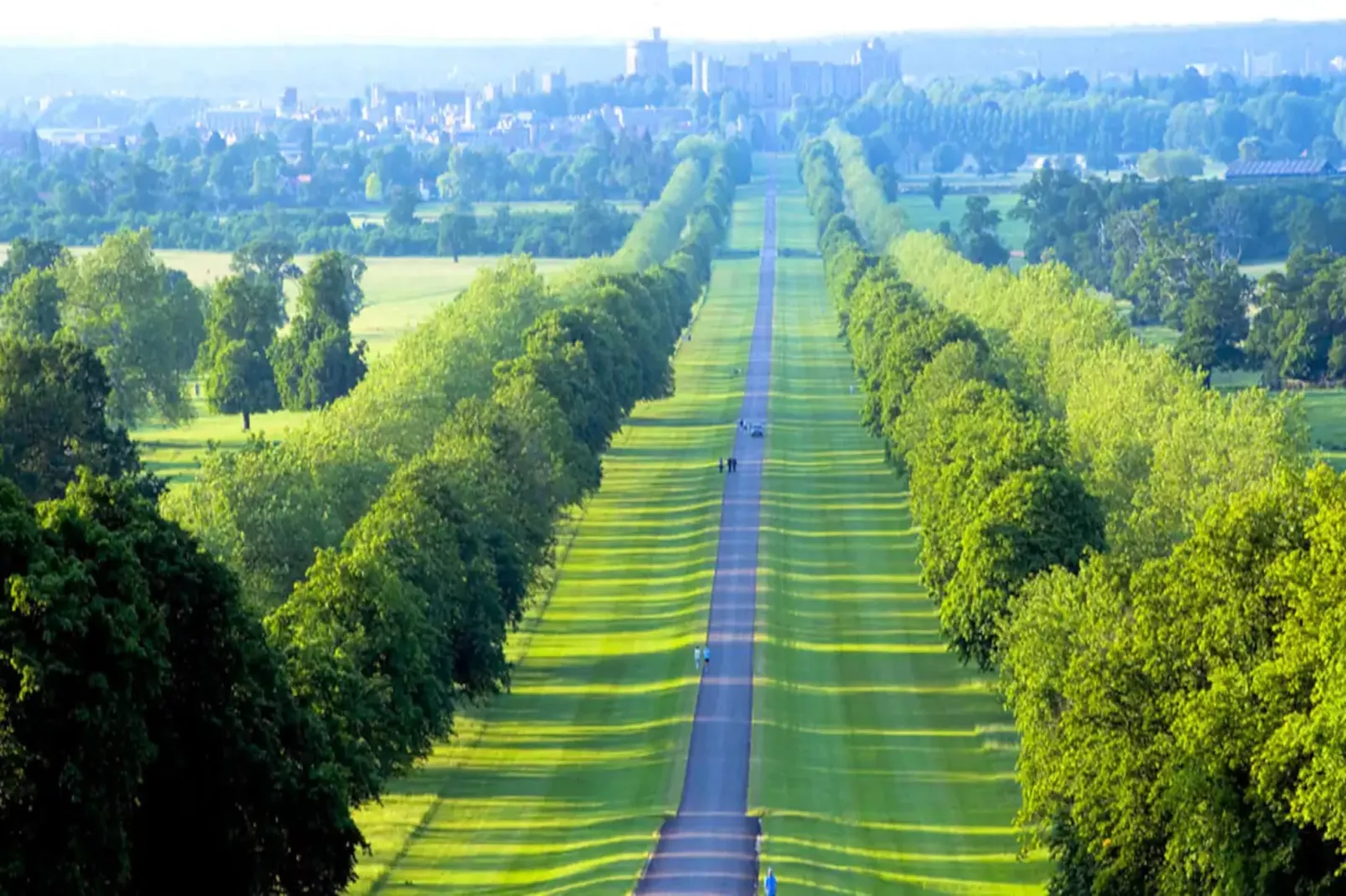 Standard Double ex Mercure Boxhill-Areas summer 1km