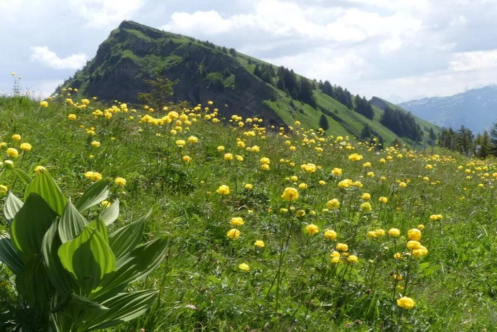 374386-Nicht getaggt