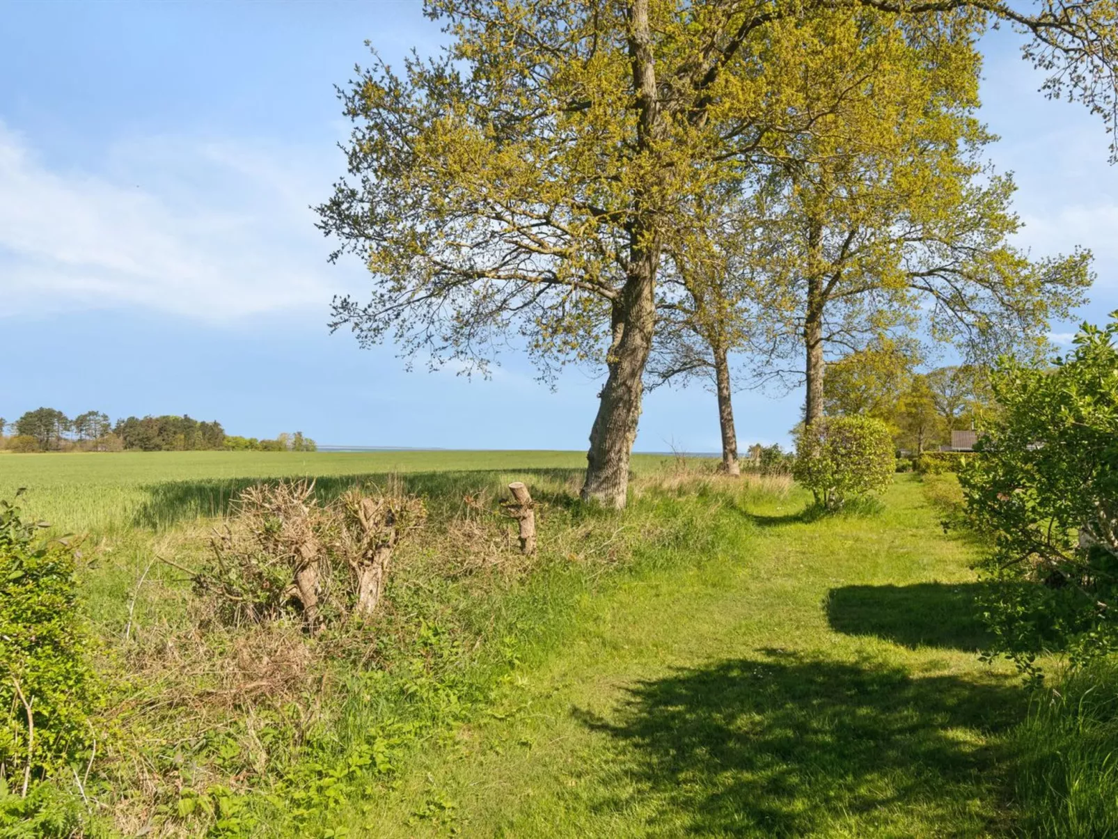 "Todor" - 400m from the sea-Draußen
