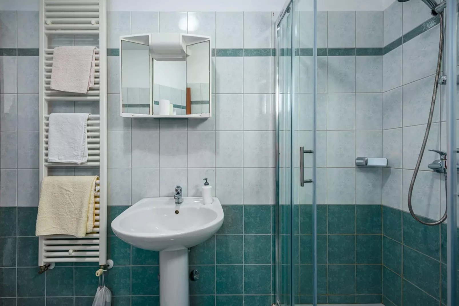 Lara 3 - Shared Pool, Sauna, Jacuzzi-Salle de bain
