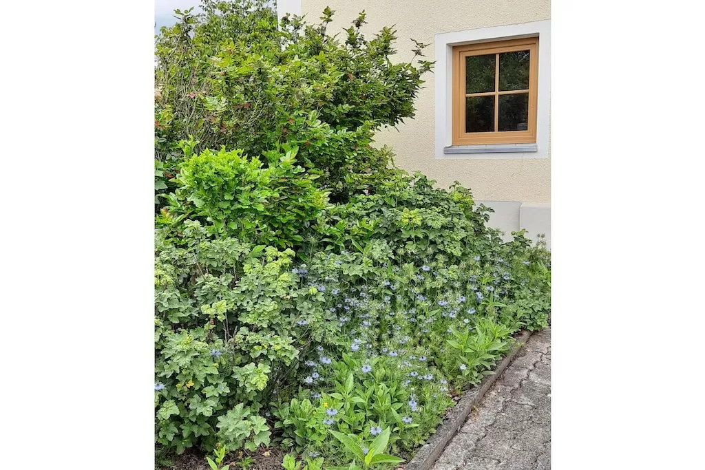 297415-Nicht getaggt